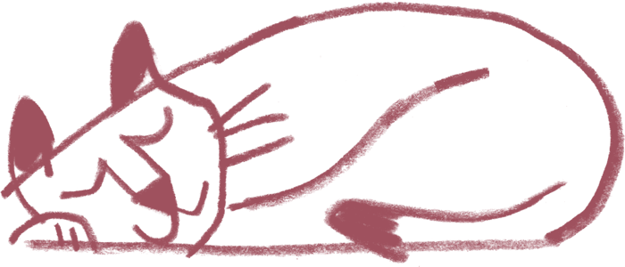 Cachorro feliz sendo atendido